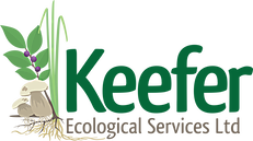 Keefer Logo