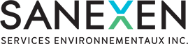 Sanexen Logo