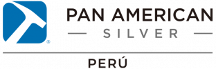 pan-silver-logo